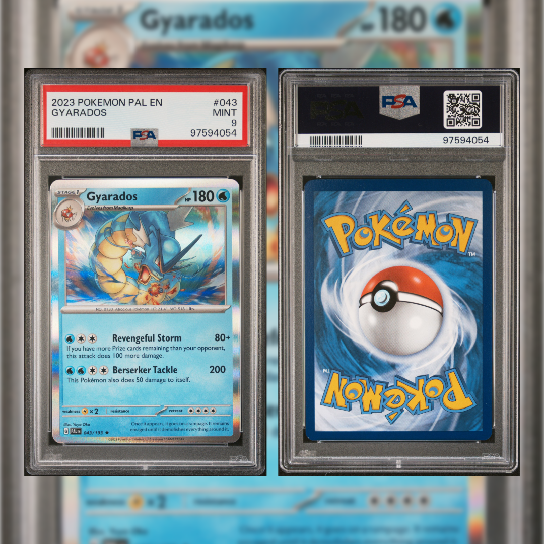 2023 Gyarados #043 PSA 9 97594054